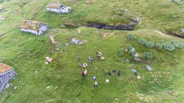 Aerial view of a transplant experiment field site.